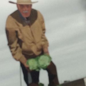 Meet your Posher, Julian